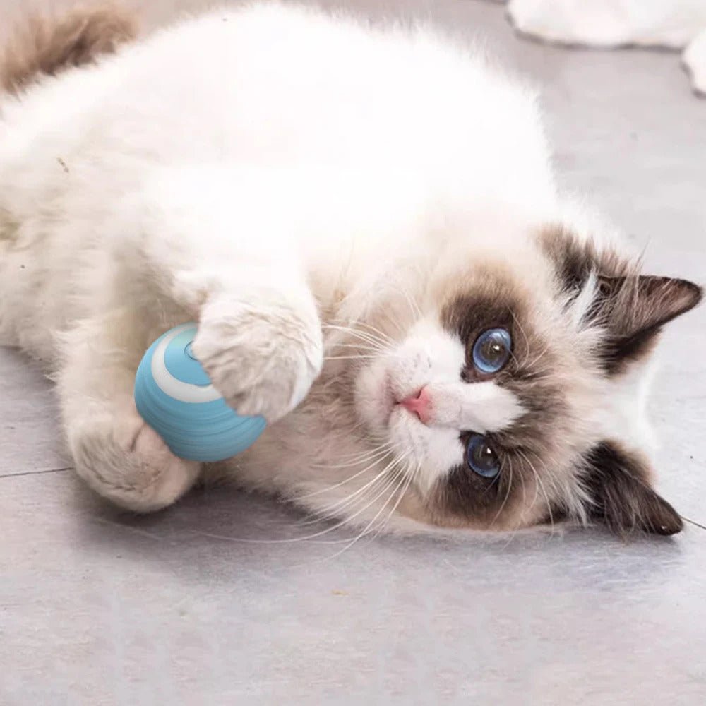 Automated Rolling Cat Ball - GADGENERALBlueGADGENERALGADGENERAL