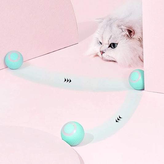 Automated Rolling Cat Ball - GADGENERALBlueGADGENERALGADGENERAL