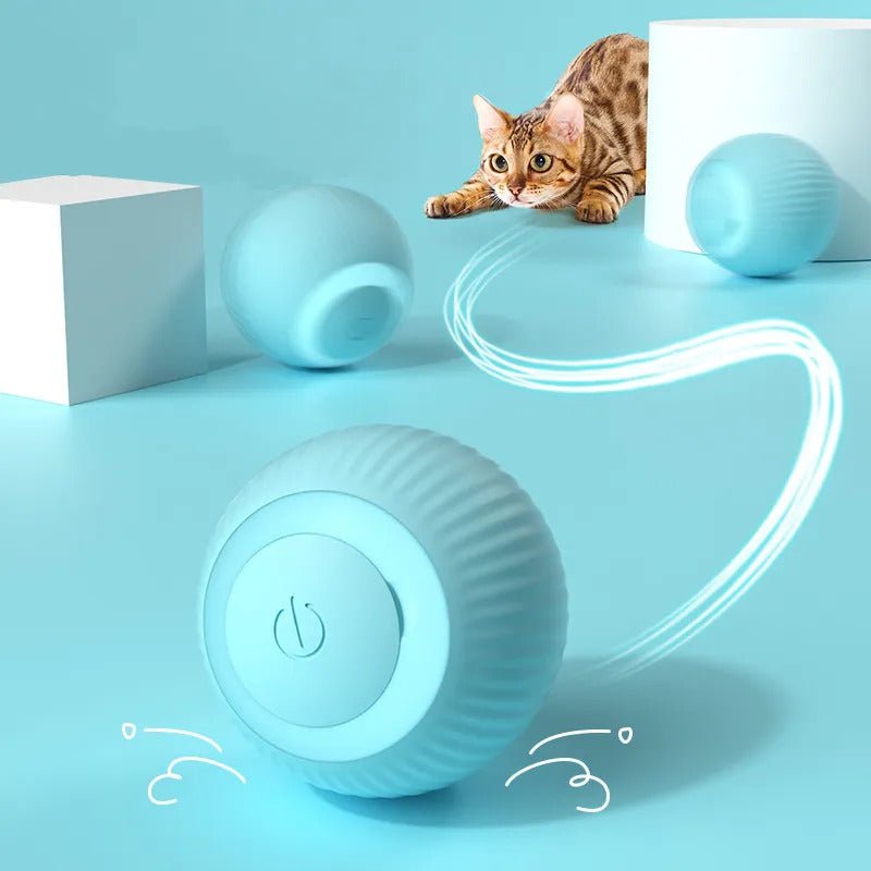 Automated Rolling Cat Ball - GADGENERALBlueGADGENERALGADGENERAL