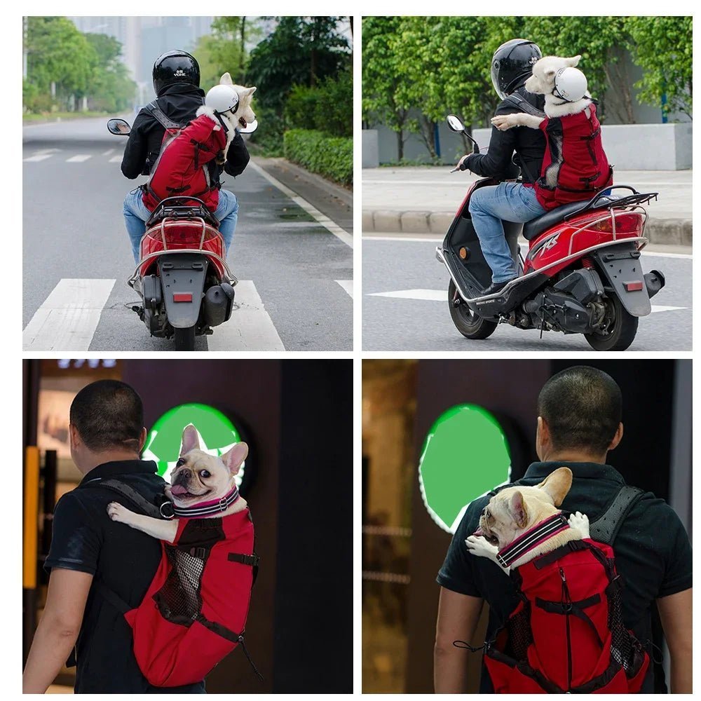 PawsOnTheGo - GADGENERALDark greyXLGADGENERALGADGENERAL