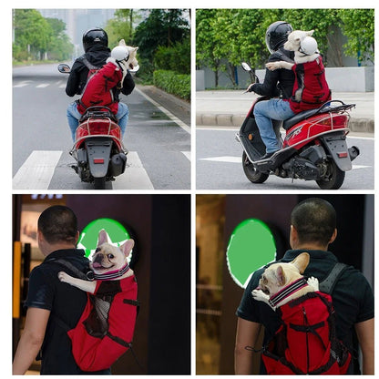 PawsOnTheGo - GADGENERALDark greyXLGADGENERALGADGENERAL