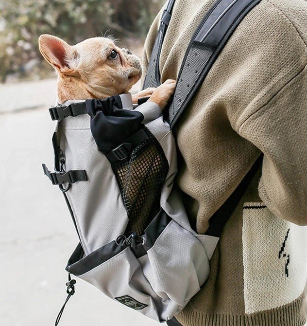 PawsOnTheGo - GADGENERALDark greyXLGADGENERALGADGENERAL
