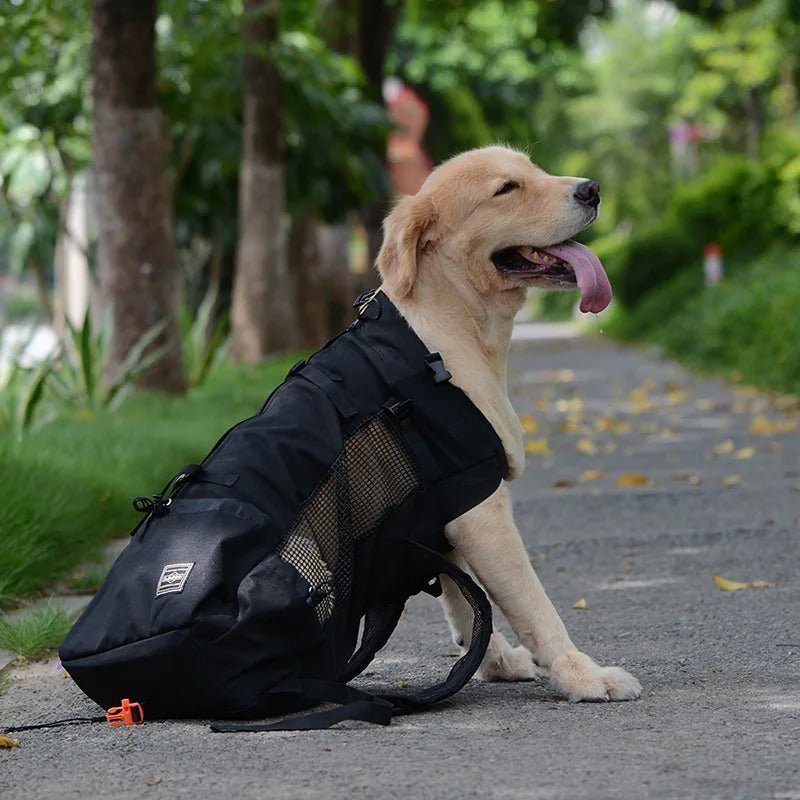 PawsOnTheGo - GADGENERALDark greyXLGADGENERALGADGENERAL
