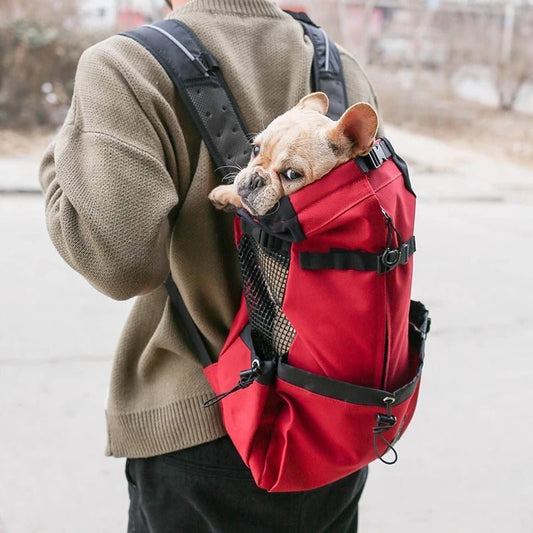 PawsOnTheGo - GADGENERALDark greyXLGADGENERALGADGENERAL