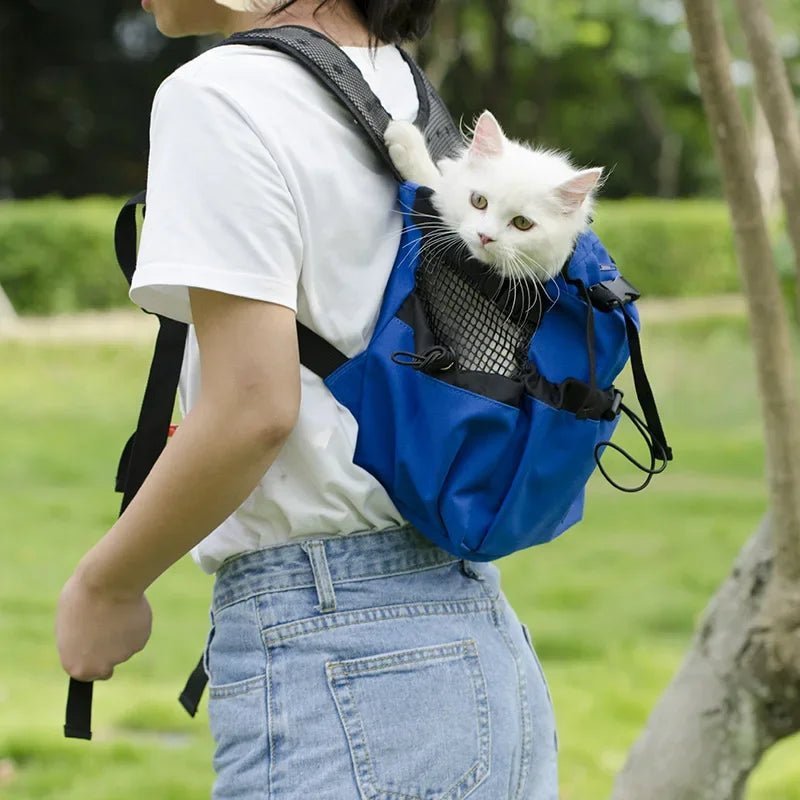 PawsOnTheGo - GADGENERALDark greyXLGADGENERALGADGENERAL